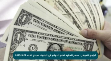 تراجع الدولار.. سعر الجنيه أمام الدولار في البنوك صباح الأحد 21-9-2025